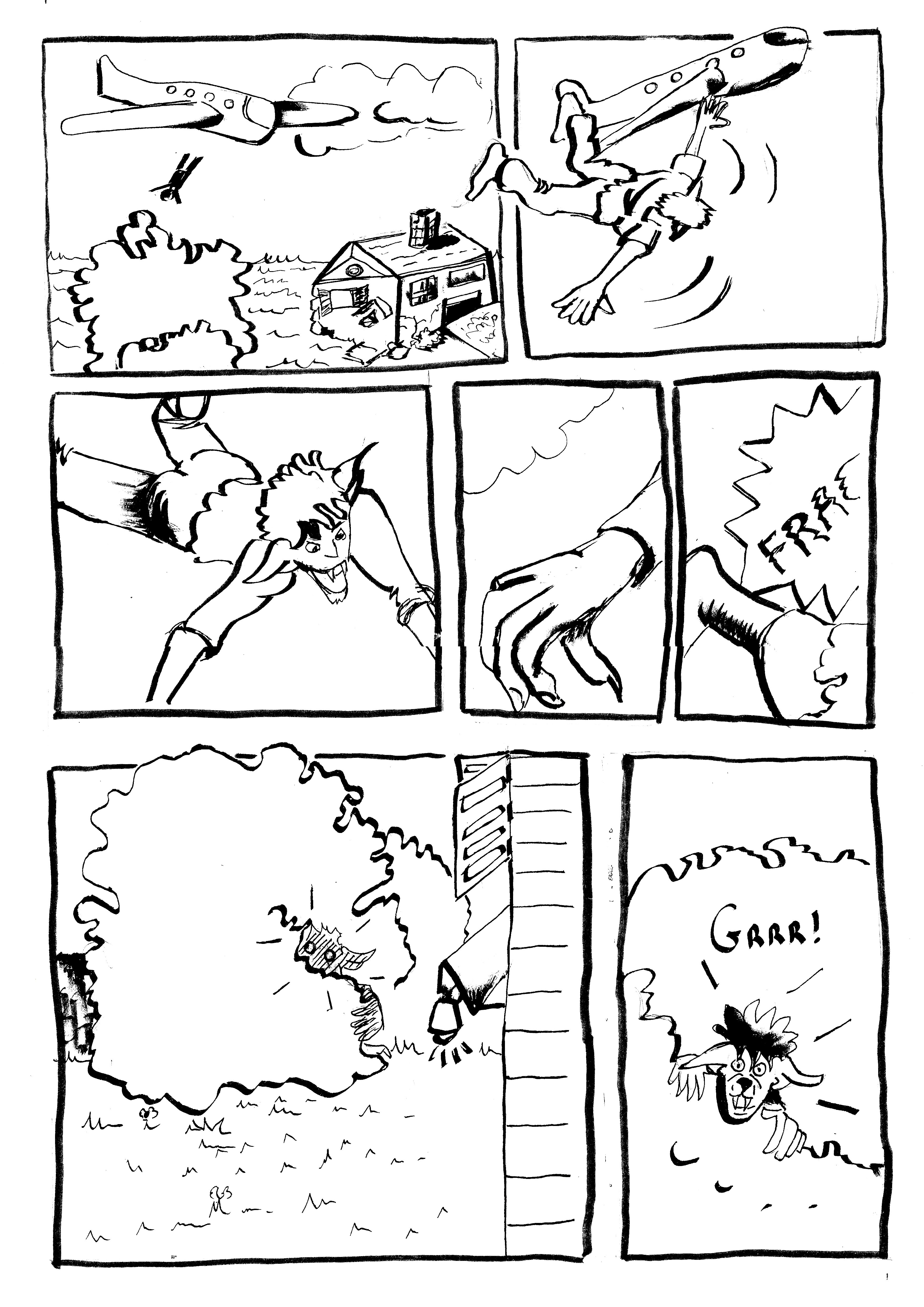 planche-1b.jpg